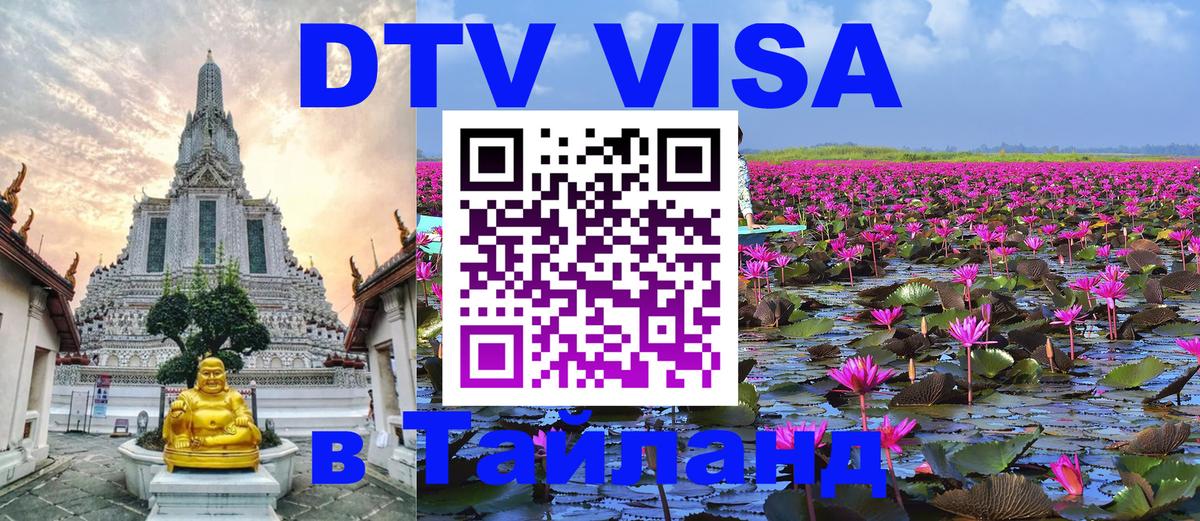 Оформление DTV визы под ключ: стоимость и тарифы, только загранпаспорт - 06.12.2025 